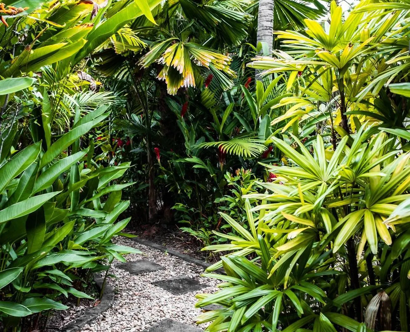 Villa Chez Brolga Port Douglas